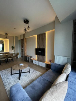 Brand-New 3-Bedroom Apartment with terrace near Mall of Istanbul - Batisehir 60